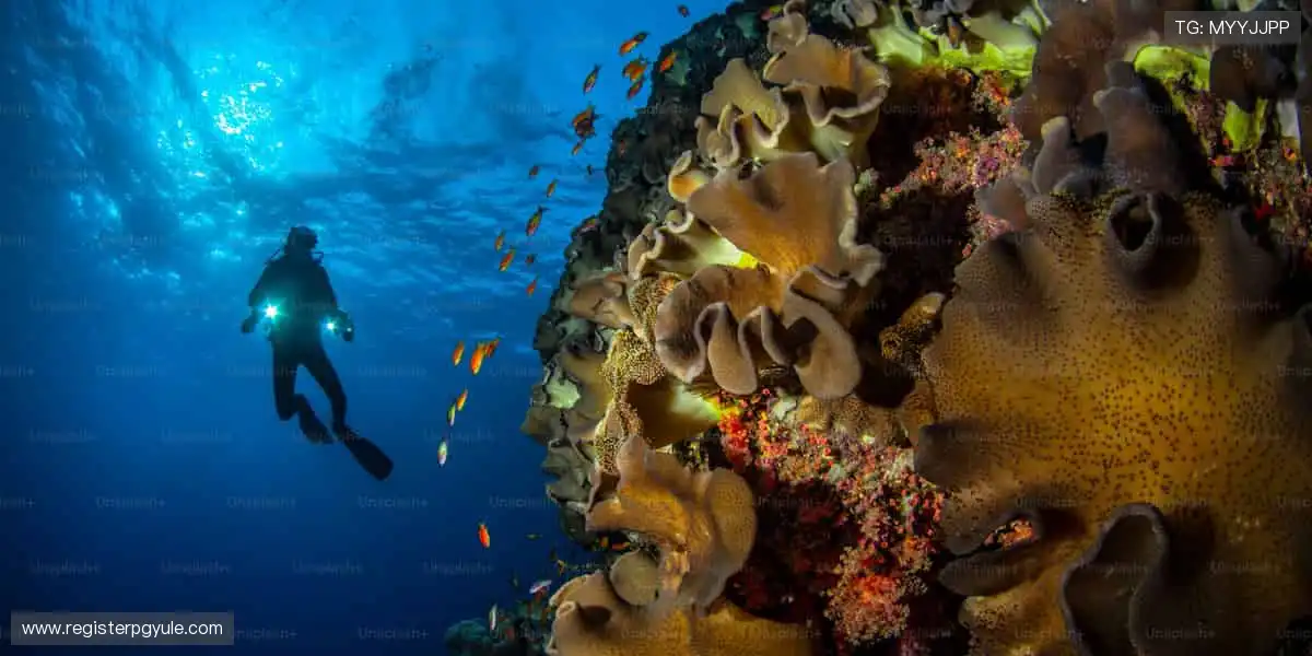 全球赛事，同步开启！🌍🎥 体育直播，打破时空界限！